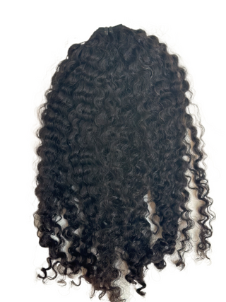 Burmese Curly