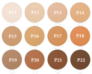 Pure Skin Matte Powder Foundation 12 shades